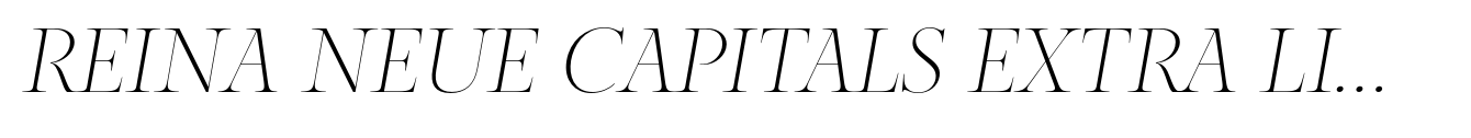 Reina Neue Capitals Extra Light Italic